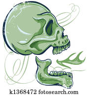 Hand Drawn Skull illustra