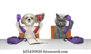 dod, und, katz, ar, sprechen, hinüber, dass, telefone