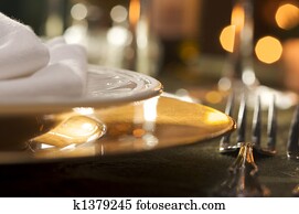 Elegant Dinner Setting Elegant Dinner Setting
