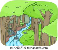 Rainforest Rainforest