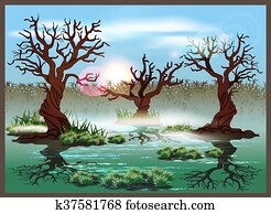 swamp swamp