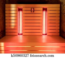 The infrared sauna The infrared sauna