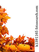 Fall Harvest Border Fall Harvest Border
