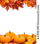 Fall Harvest Frame Fall Harvest Frame