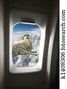 Flying Sheep Flying Sheep