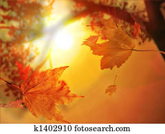 folha outono, outono, 	Autumn, folha, outono