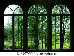 Garden Window