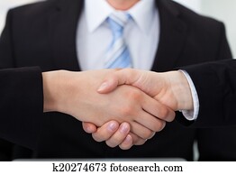 geschäftskollegen, handgeben