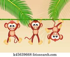 monkeys in the forest