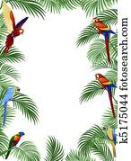 Parrot bird Parrot bird
