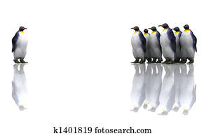 Penguins Penguins