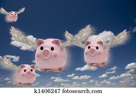 Pigs fly Pigs fly