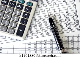 נהול חשבונות