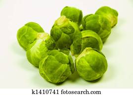 Brussel Sprouts Drawing | brusspr2 | Fotosearch