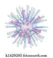 avian flu virus avian flu virus