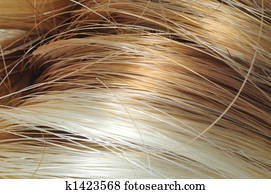 Blond and Brown Hair
