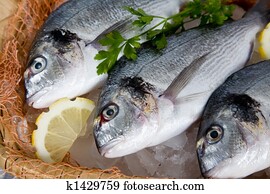 Fresh fish