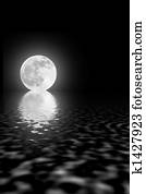 Moon Beauty Moon Beauty