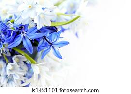 Spring flowers background
