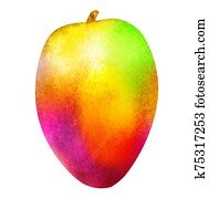Watercolor mango on white Watercolor mango on white