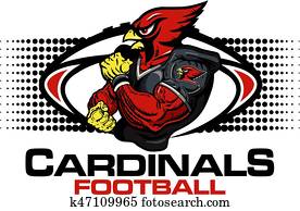 cardinals football cardinals football