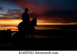 Cowboy Silhouette Cowboy Silhouette