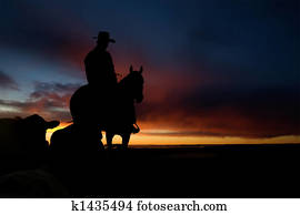 Cowboy Silhouette Cowboy Silhouette