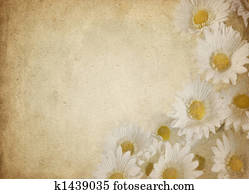flower parchment flower parchment