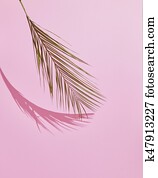 Tropical Palm Leaf