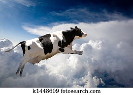 Flying Cow Flying Cow