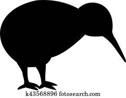 Kiwi bird Kiwi bird