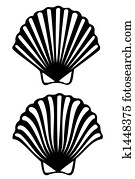 Shell Shell