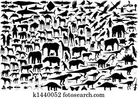 בעל חיים, תרשימים