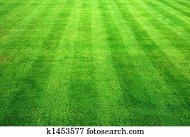 Bowling green grass background. Bowling green grass background.