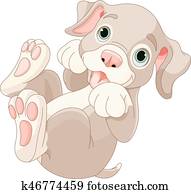 Cute puppy Cute puppy