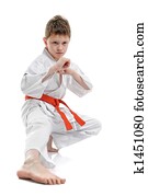 Karate Kid Karate Kid