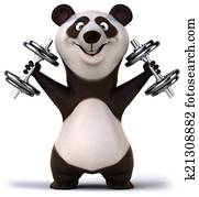 Panda Panda