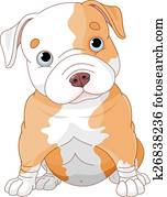 Pitbull puppy Pitbull puppy