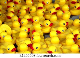 Rubber Ducks