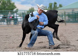 Steer Wrestling Steer Wrestling