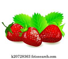 strawberries strawberries