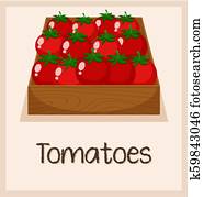 A tomato in the box A tomato in the box