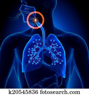 Apnea - Obstruction Sleep Apnea Apnea - Obstruction Sleep Apnea