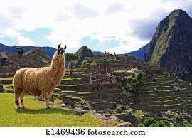 bem-vindo, para, machu picchu