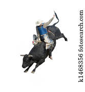 Bull Riding Bull Riding