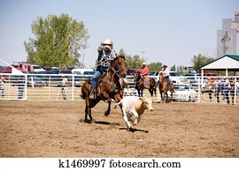 Calf Roping Calf Roping