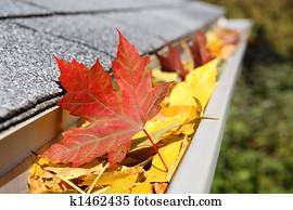 chova sarjeta, cheio, de, folhas