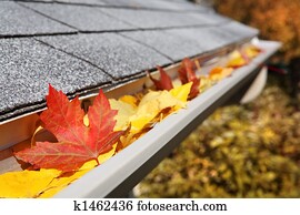 chova sarjeta, cheio, de, folhas