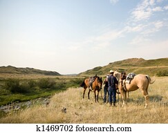 Cowboy Scene Cowboy Scene