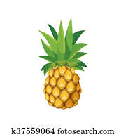 Pineapple icon in cartoon style Pineapple icon in cartoon style